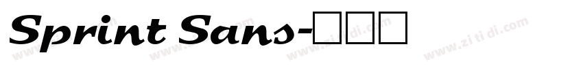 Sprint Sans字体转换